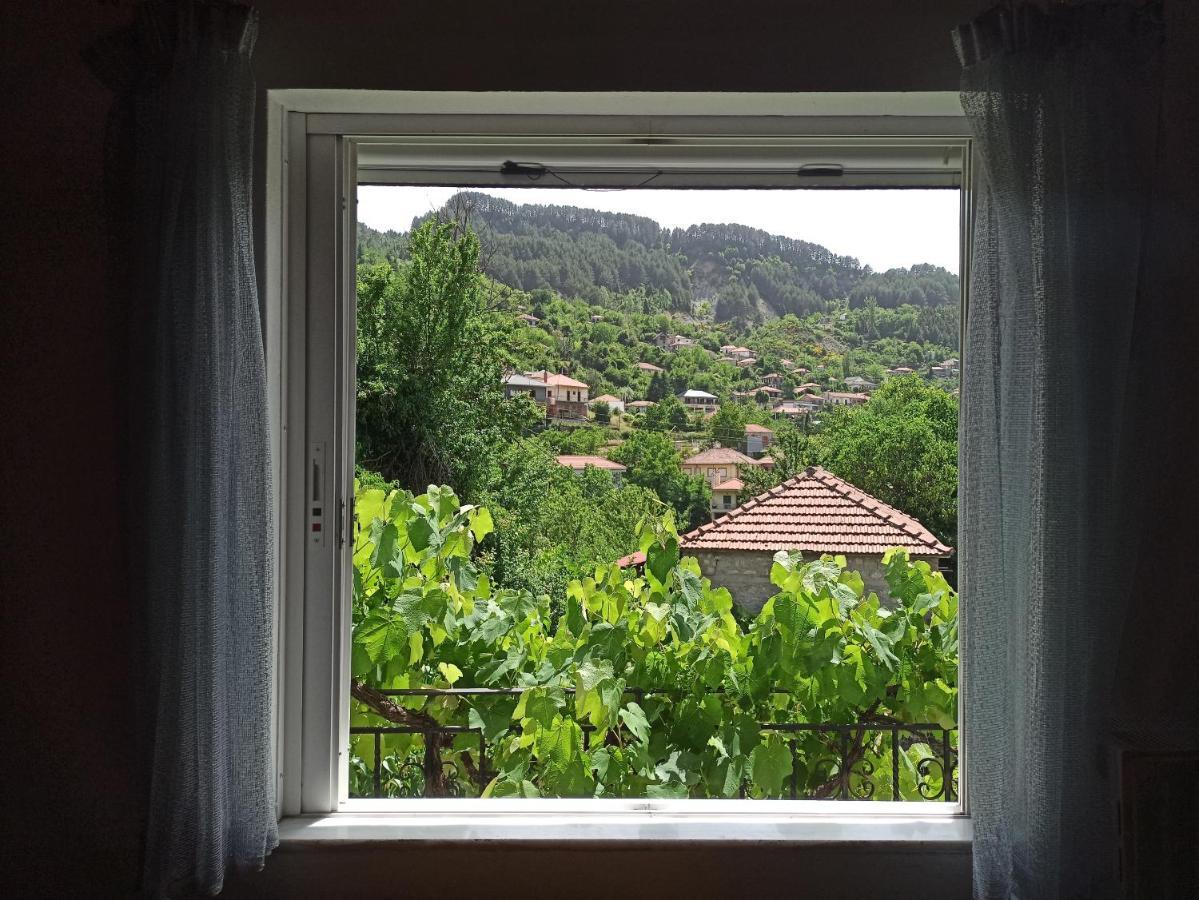 Elli΄S House Συγχρονο Σπιτι Στα Πραμαντα Villa Pramanta Eksteriør billede