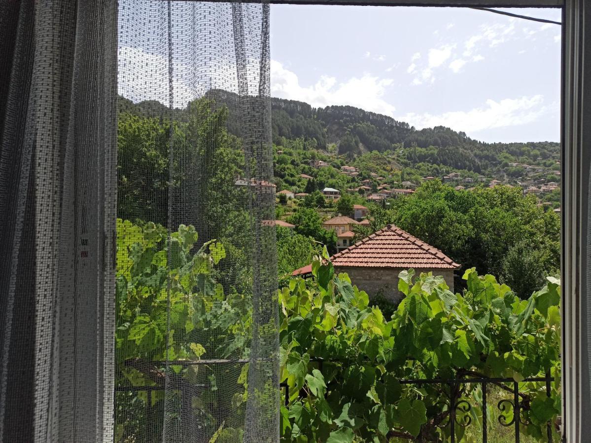 Elli΄S House Συγχρονο Σπιτι Στα Πραμαντα Villa Pramanta Eksteriør billede